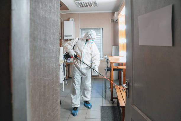 Best Crawl Space Mold Remediation  in Gold Canyon, AZ