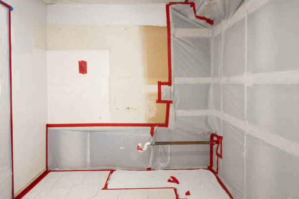 Best Basement Mold Removal  in Gold Canyon, AZ