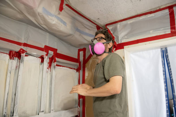 Best Comprehensive Air Testing for Mold Contaminants  in Gold Canyon, AZ
