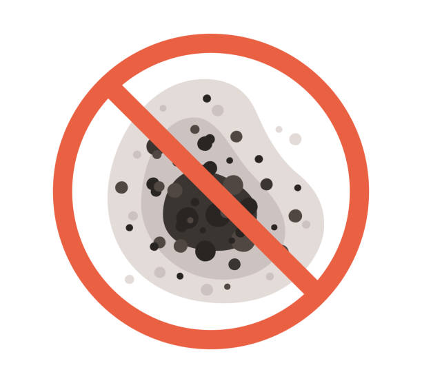 Best Black Mold Removal  in Gold Canyon, AZ